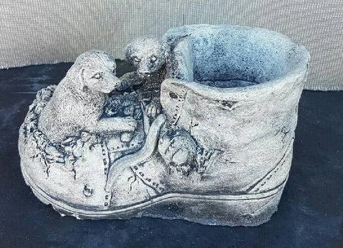 Puppies on Shoe/Boot