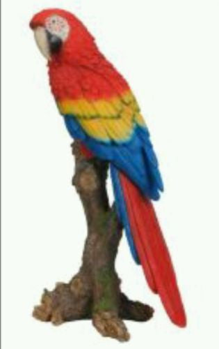 Standing Macaw On Branch