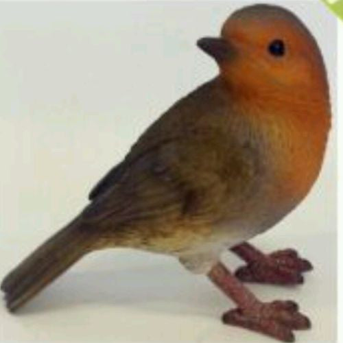 Standing Bird Robin