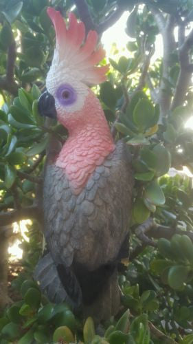 Cockatoo Pink Hanging Bird