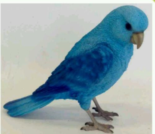 Standing Bird Parakeet