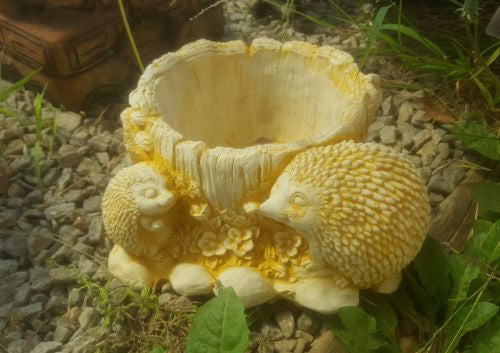 Echidnas Pot