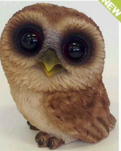 Standing Sooty Owl