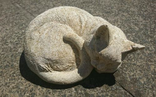 Sleeping Cat Concrete