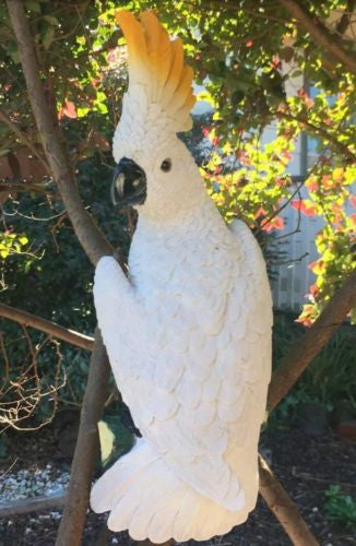 Cockatoo Bird Hanging White