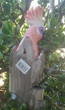 Cockatoo Pink Hanging Bird