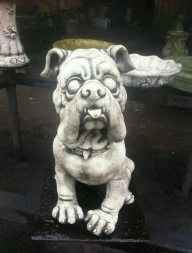 Pug Dog