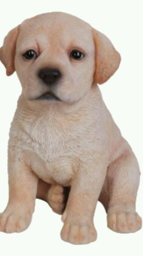 Sitting Labrador Puppy Pink