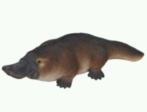 Standing Platypus
