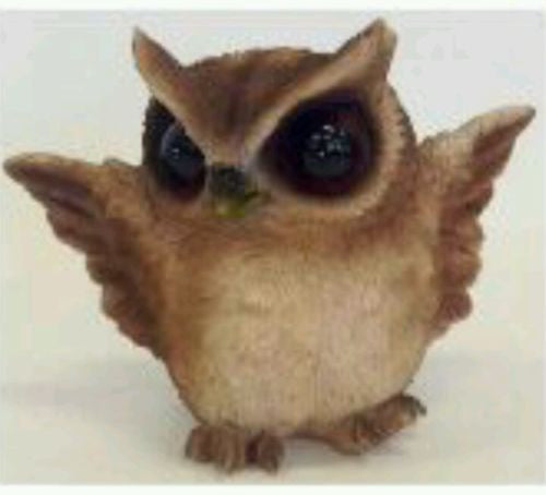 Standing Baby Sooty Owl