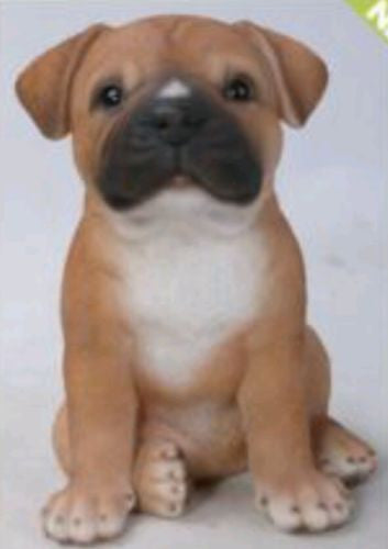 Sitting Staffordshire Puppy