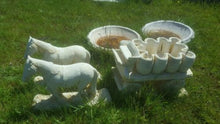 Horses Cart/Wagon Concrete