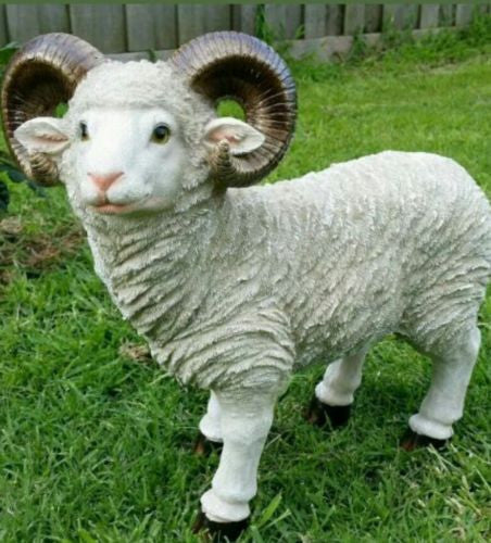 43cm Standing Sheep Fiberglass