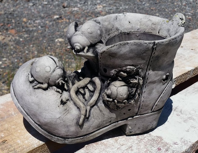 Lady Beetles on Shoe/Boot Concrete