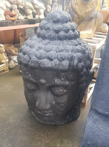 Buddha Head