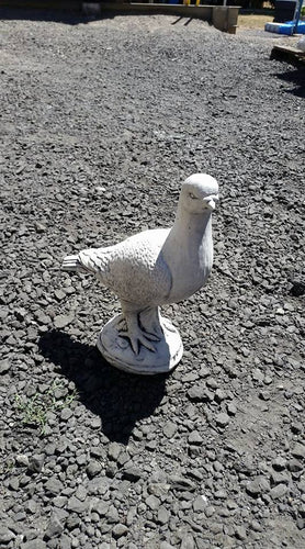 Small Pigeon Concrete
