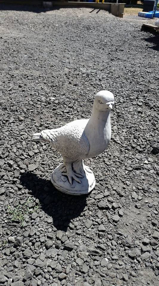 Small Pigeon Concrete