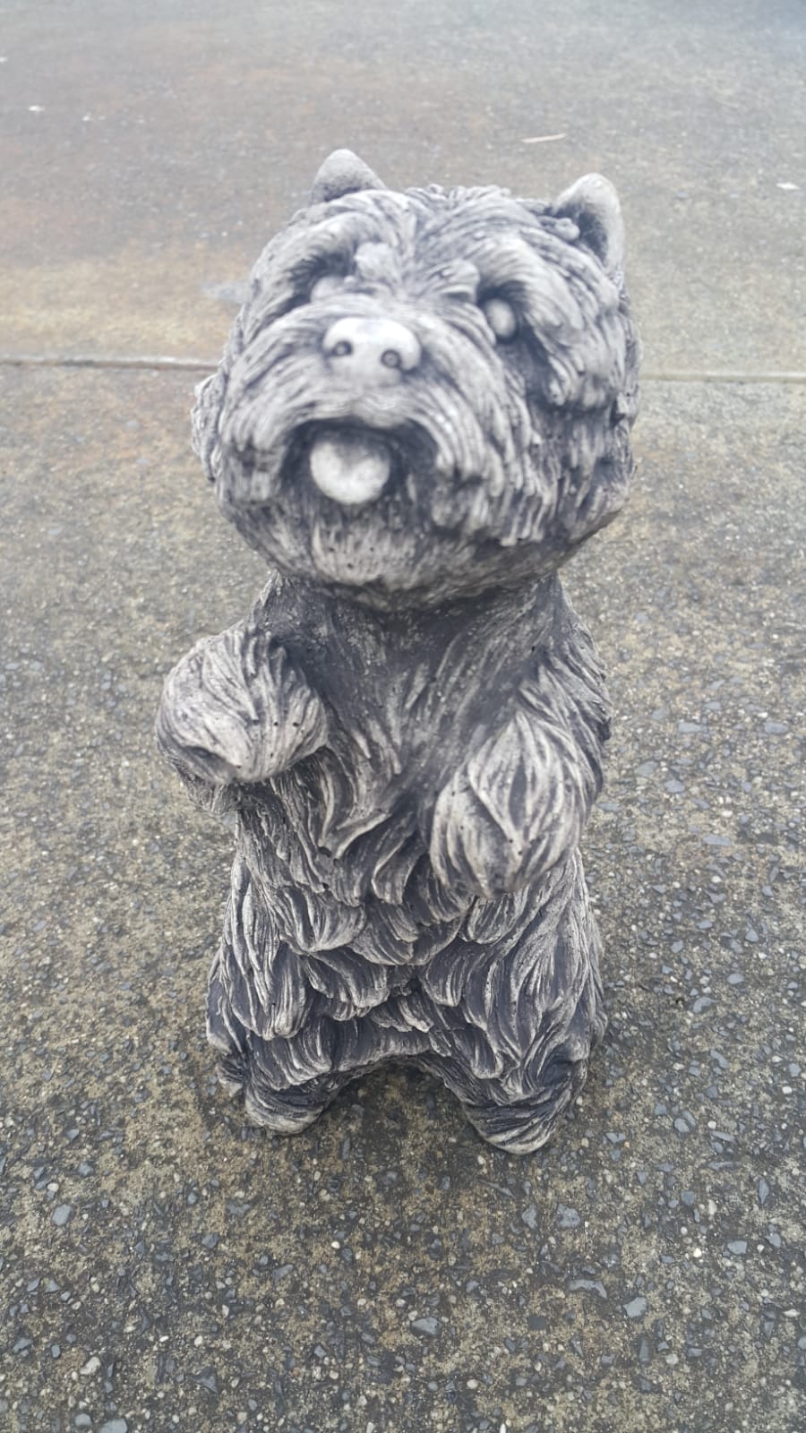 Little Happy Dog
