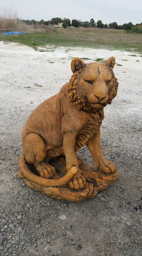 Large Tiger Concrete