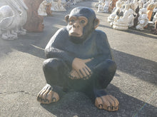Sitting Monkey 52cm
