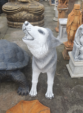 Large Standing Wolf