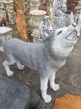 Large Standing Wolf