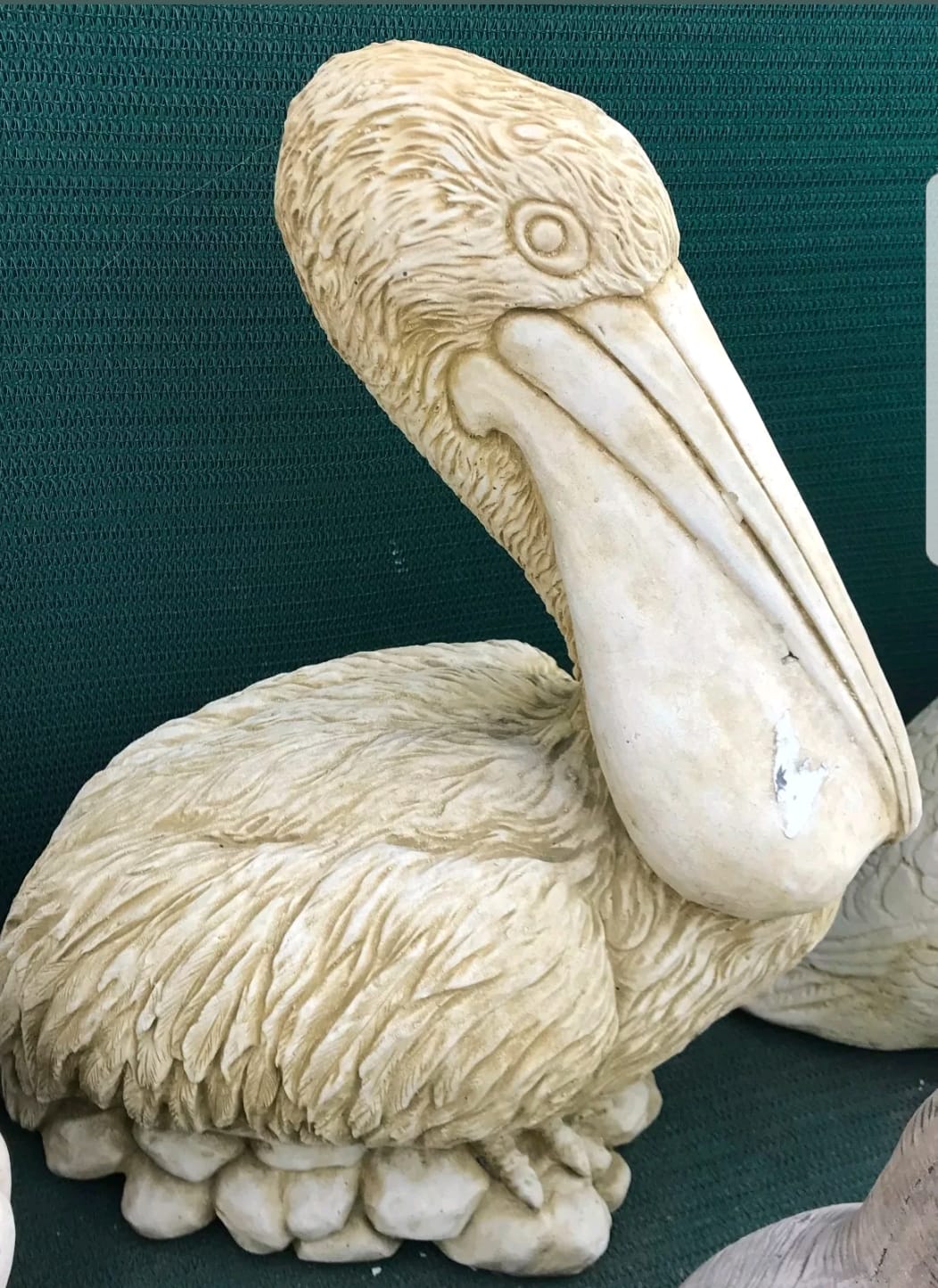 Sitting Pelican Concrete
