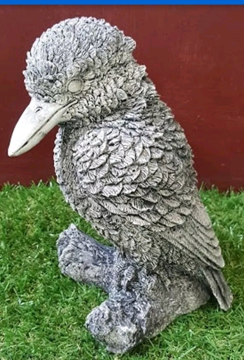 Kookaburra Bird Concrete