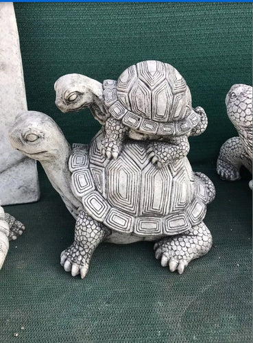 Turtle With Baby