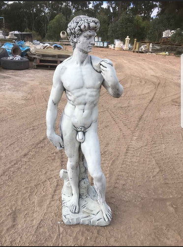 Medium David
