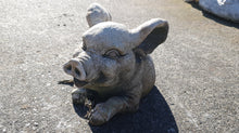 Sitting Pig 48cm