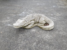 Standing Crocodile 16 cm