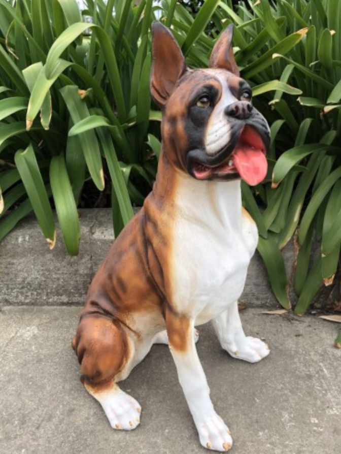 55cm Sitting Boxer Dog