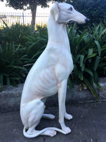 88cm Sitting Greyhound Dog