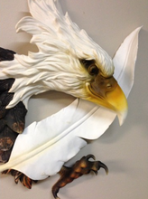 55cm Eagle Head with Feather Wall Hanging