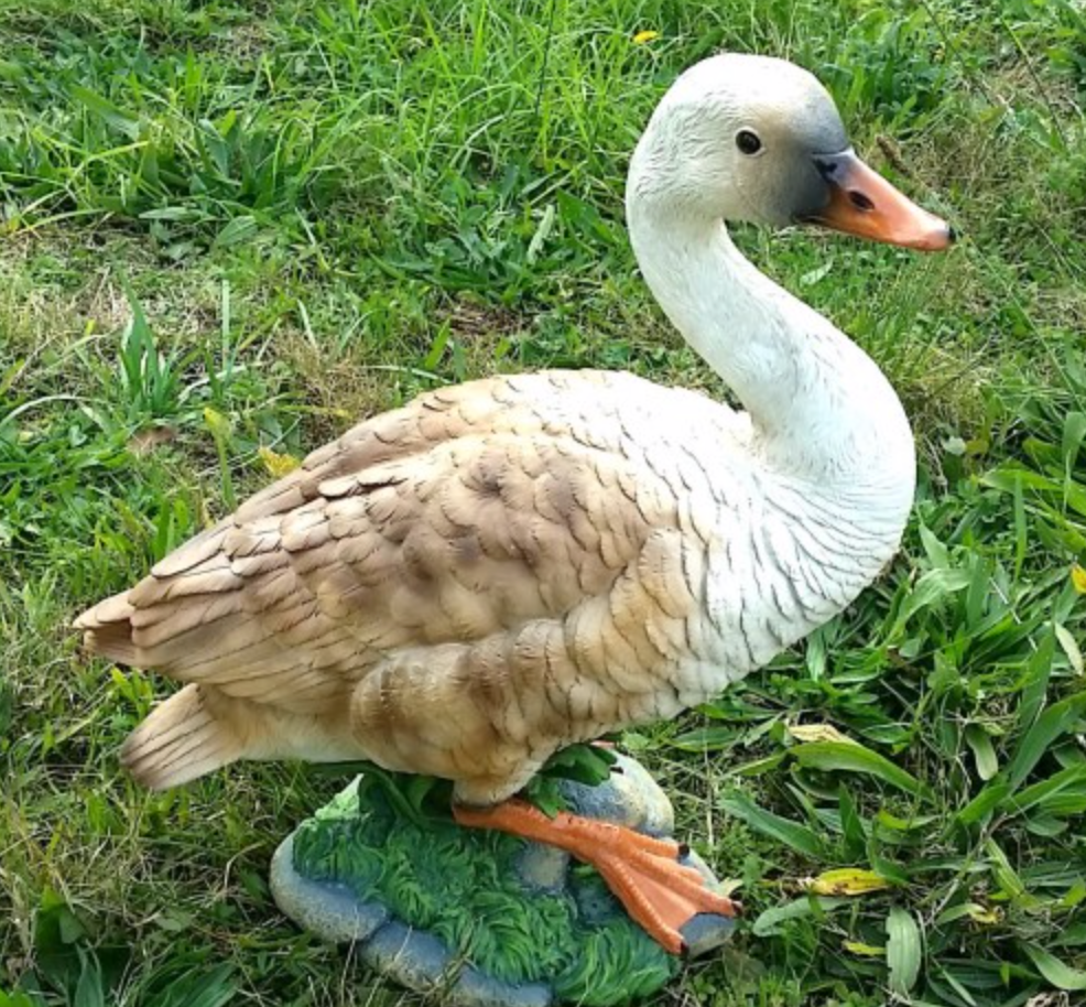 49cm Duck Fiberglass
