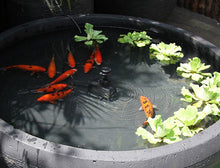 Fish Pond With Pump and Sprinkler