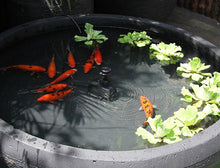Fish Pond With Pump and Sprinkler