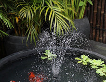 Fish Pond With Pump and Sprinkler