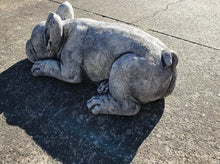 Sleeping bulldog