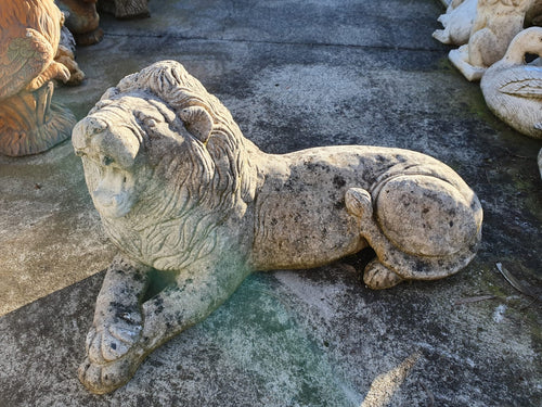 Laying down Lion roaring