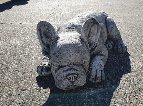 Sleeping bulldog