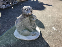 30cm Meerkat with baby