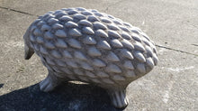 22cm Walking Hedgehog