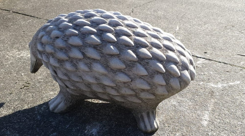 22cm Walking Hedgehog