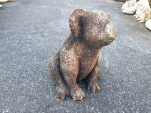 36cm Sitting Koala
