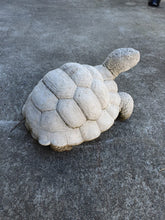 20cm Standing Turtle