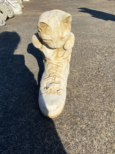 Cat in boot