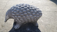 22cm Walking Hedgehog