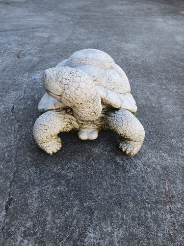 20cm Standing Turtle